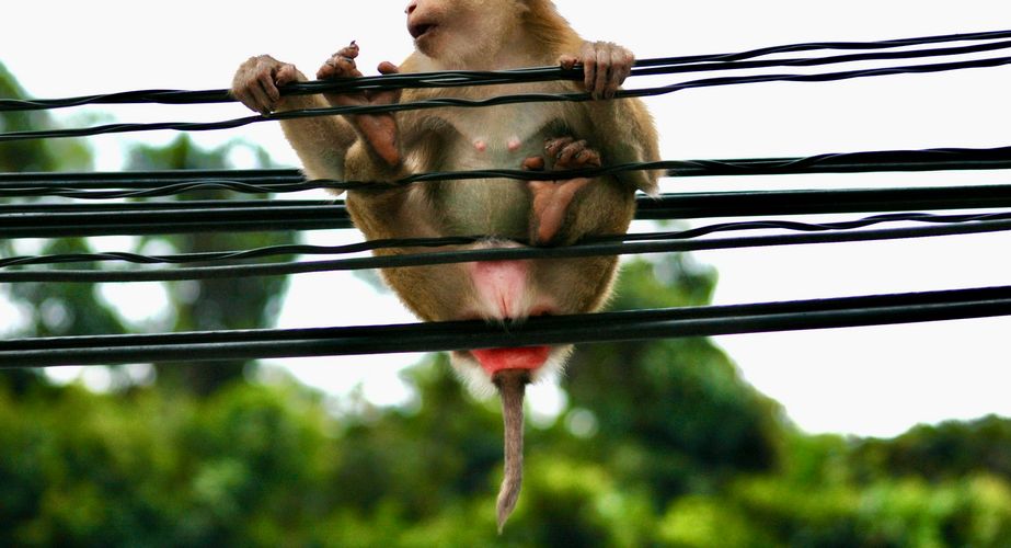 Koh Chang Thailand 11